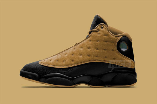 Air Jordan 13